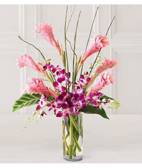 The Tropicala Arrangement